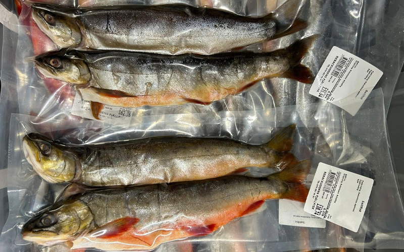 Saltfisk Saltfisk